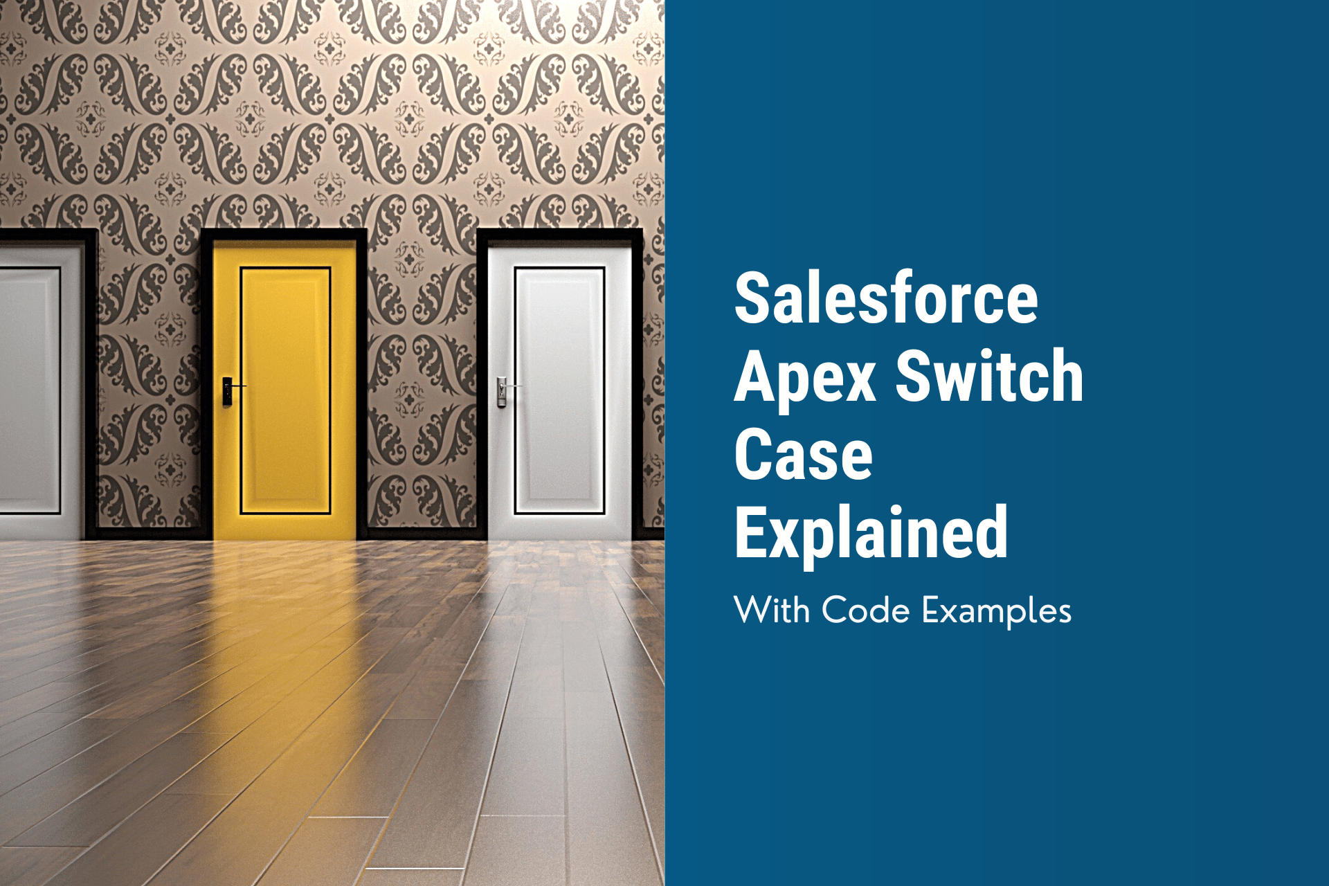 Salesforce Apex Switch Case Explained ForceHow