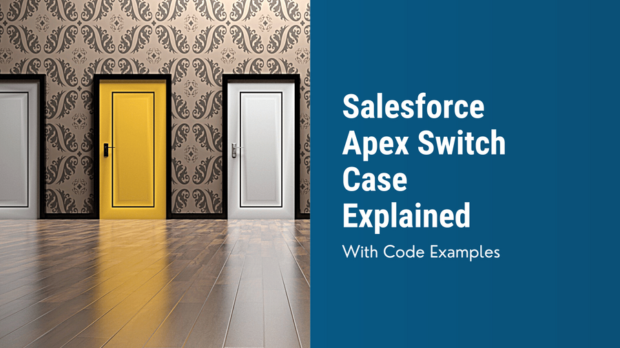 Salesforce Apex Switch Case Explained